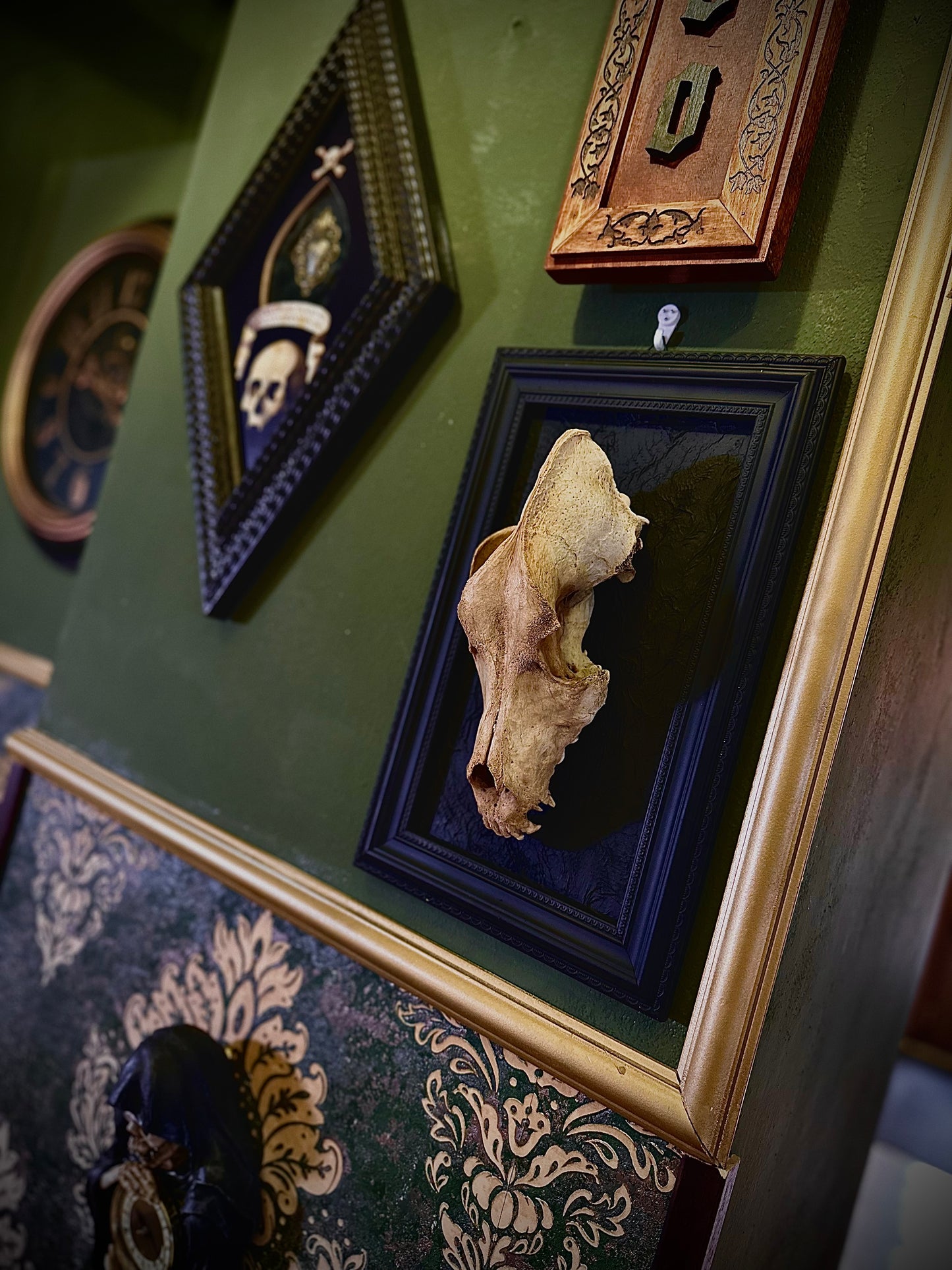 STRAY DOG - Cornice nera con cranio canino autentico