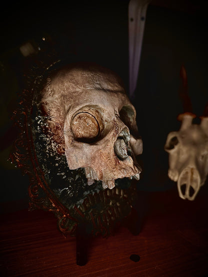 MEMENTO MORI - Cornice barocca con teschio in resina