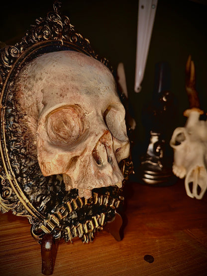 MEMENTO MORI - Cornice barocca con teschio in resina