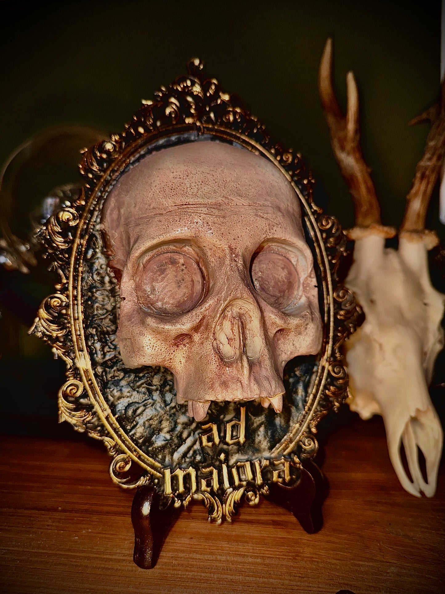 CARPE DIEM - Cornice barocca con teschio in resina