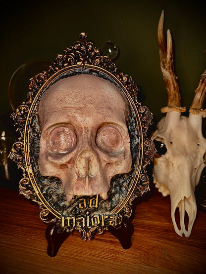 CARPE DIEM - Cornice barocca con teschio in resina