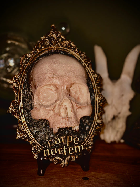 CARPE NOCTEM - Cornice barocca con teschio in resina