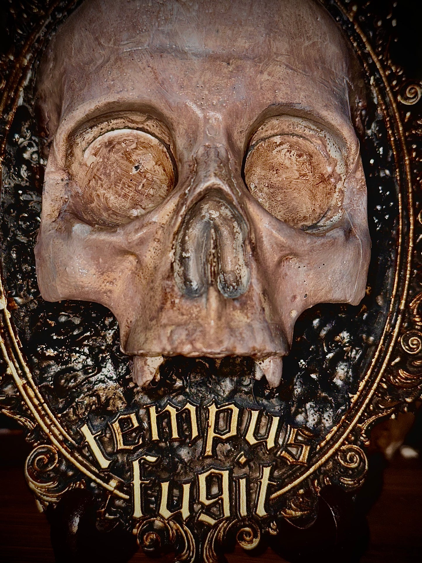 TEMPUS FUGIT - Cornice barocca con teschio in resina