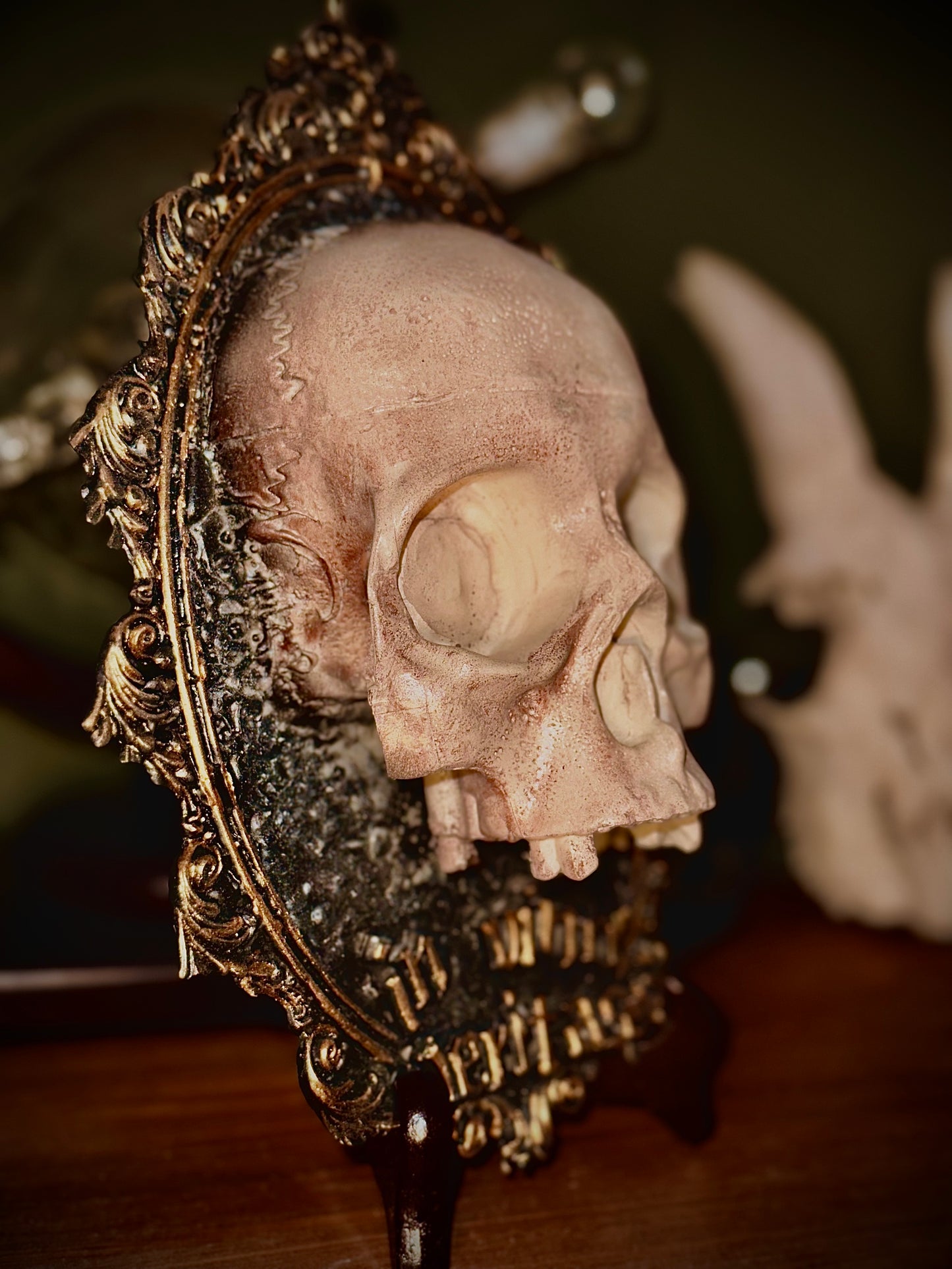 IN VINO VERITAS - Cornice barocca con teschio in resina