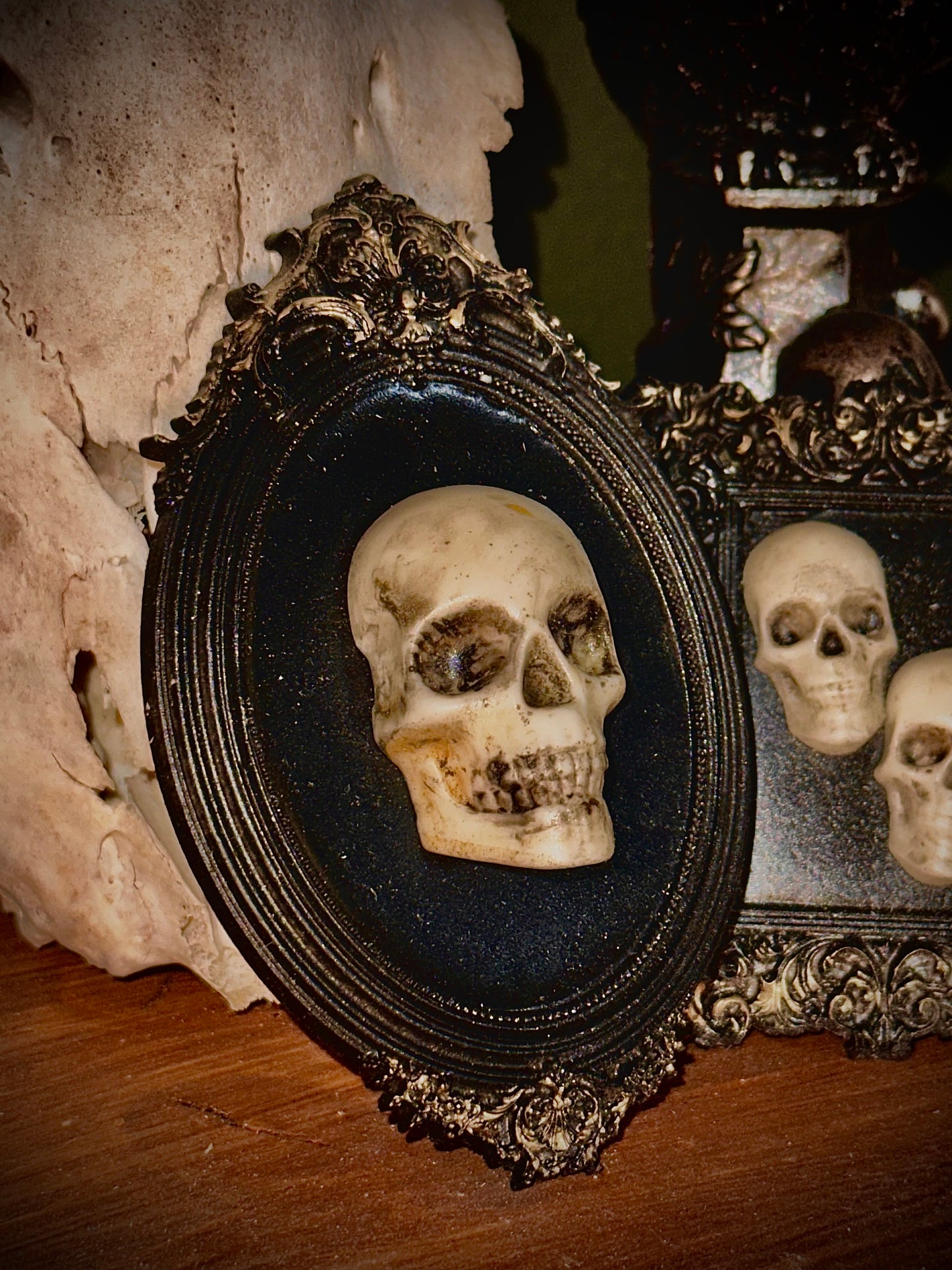 Piccola cornice barocca con teschio intero