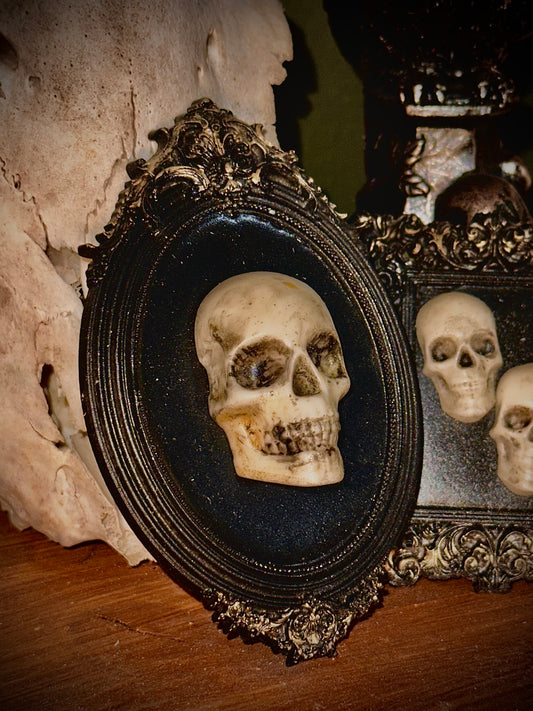 Piccola cornice barocca con teschio intero