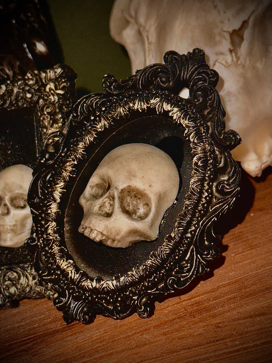 Piccola cornice barocca con teschio a metà