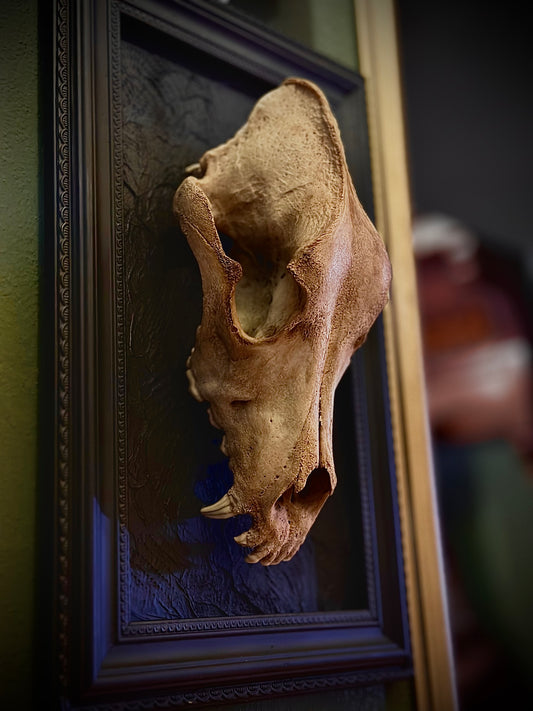 STRAY DOG - Cornice nera con cranio canino autentico