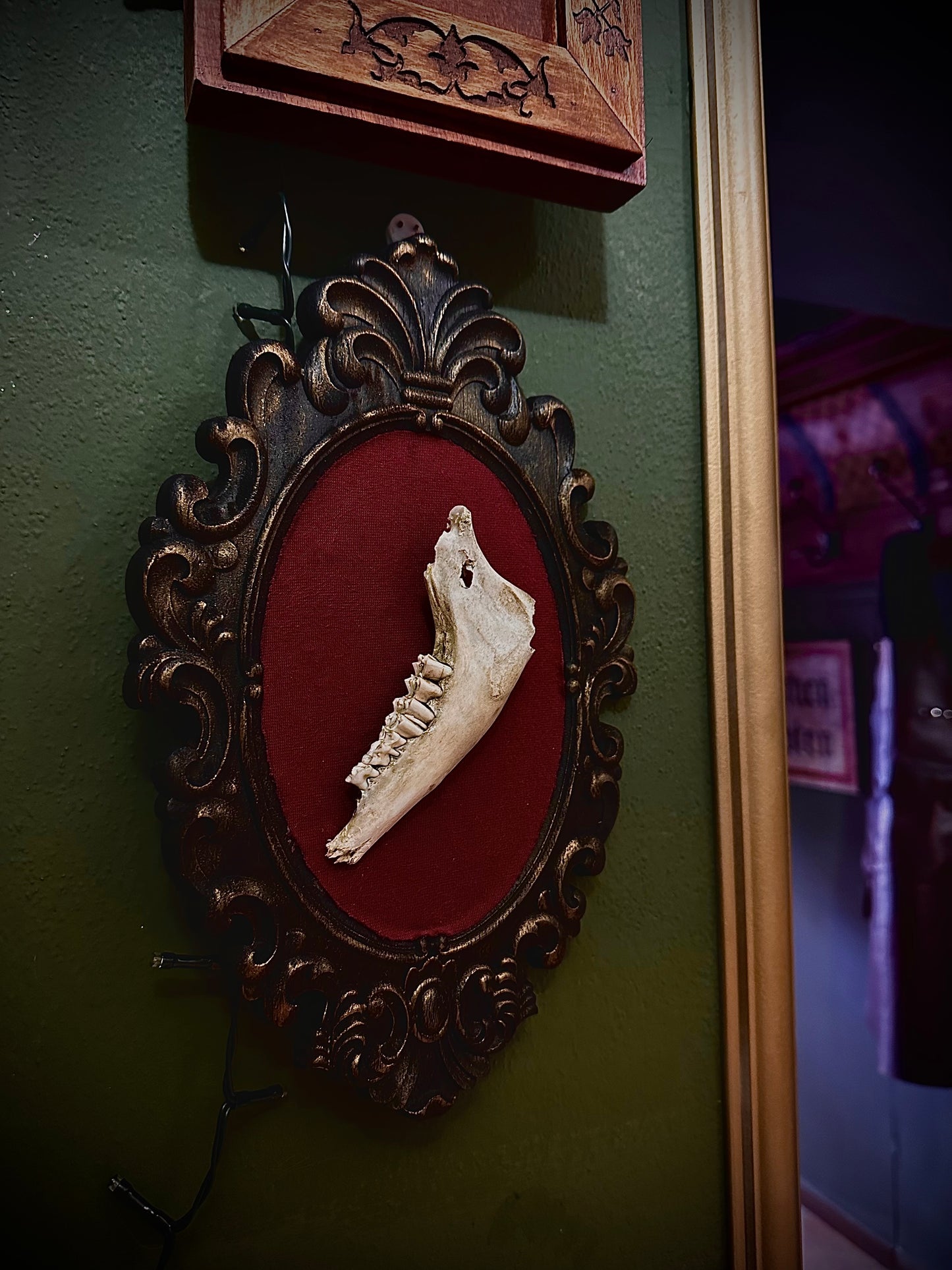 SHEEP JAW - Cornice in legno con mandibola di pecora