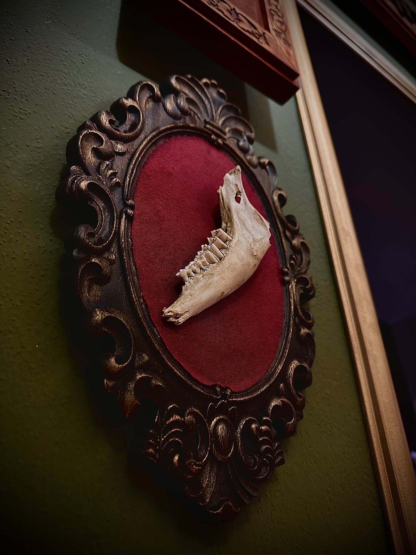 SHEEP JAW - Cornice in legno con mandibola di pecora