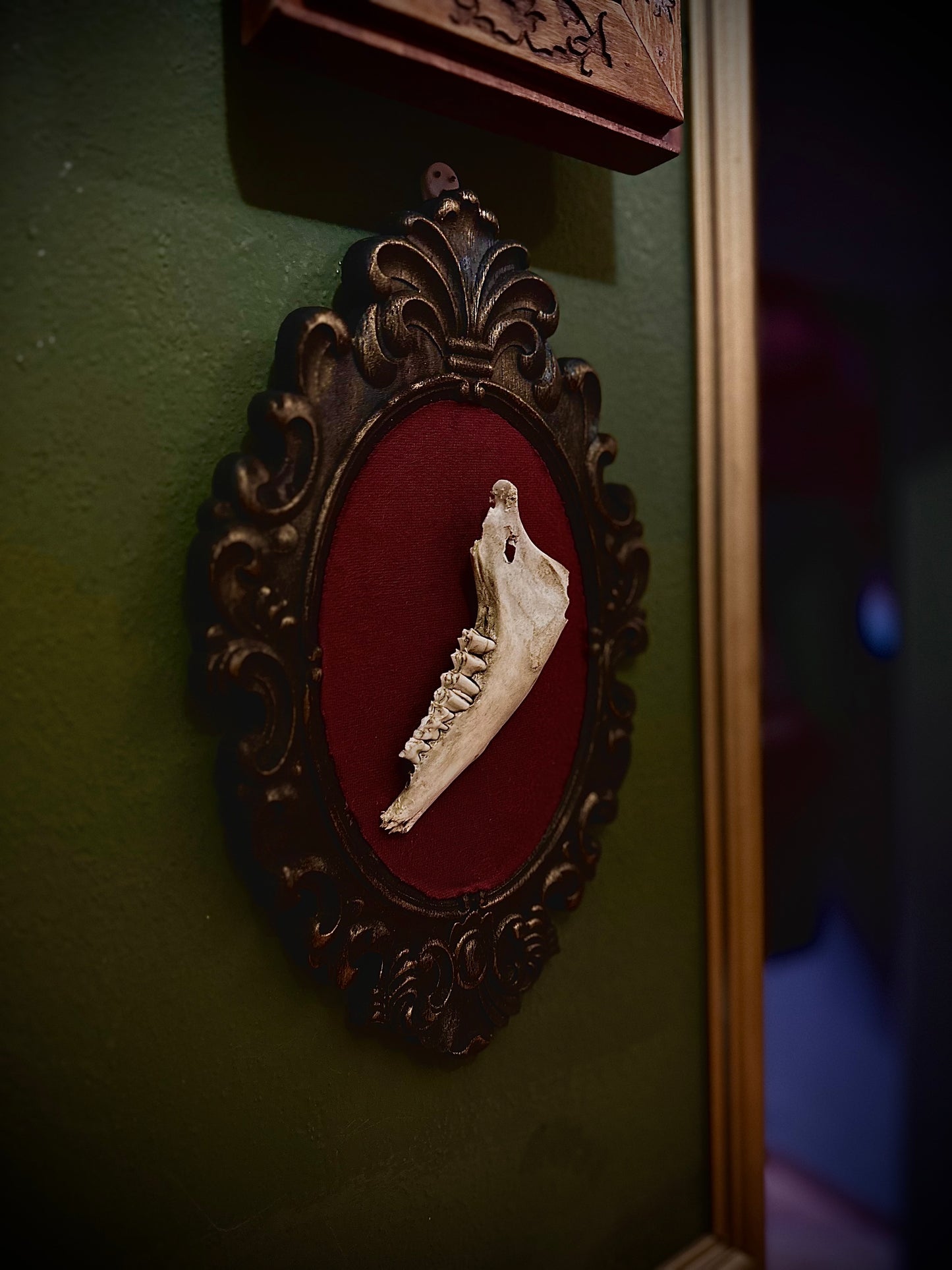 SHEEP JAW - Cornice in legno con mandibola di pecora