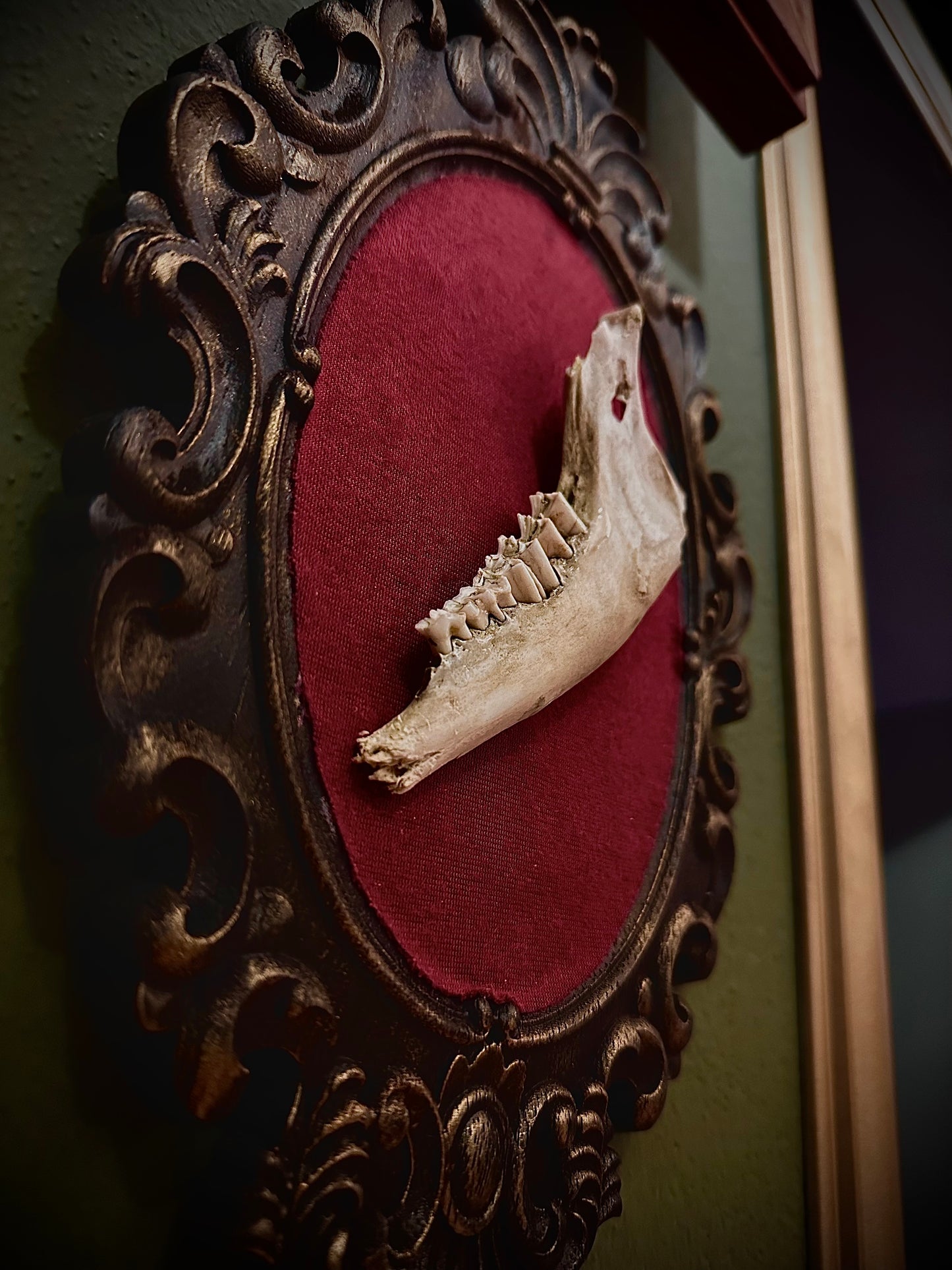 SHEEP JAW - Cornice in legno con mandibola di pecora